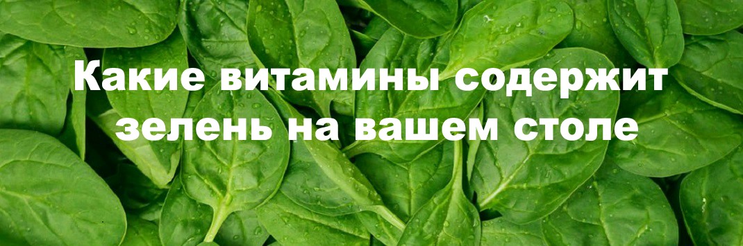 Какие витамины содержаться в зеленых листьях
