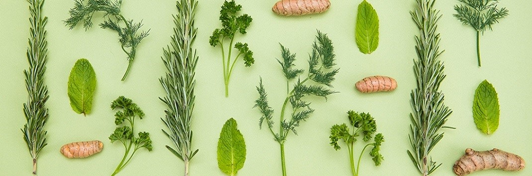 Какие витамины содержаться в зеленых листьях thumbnail